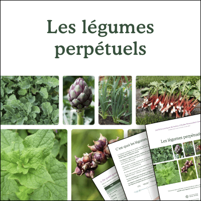 Les légumes perpétuels