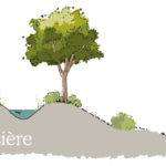 Croquis de baissière (swale en anglais) en permaculture.