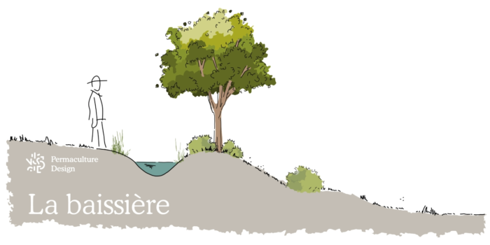 Croquis de baissière (swale en anglais) en permaculture.