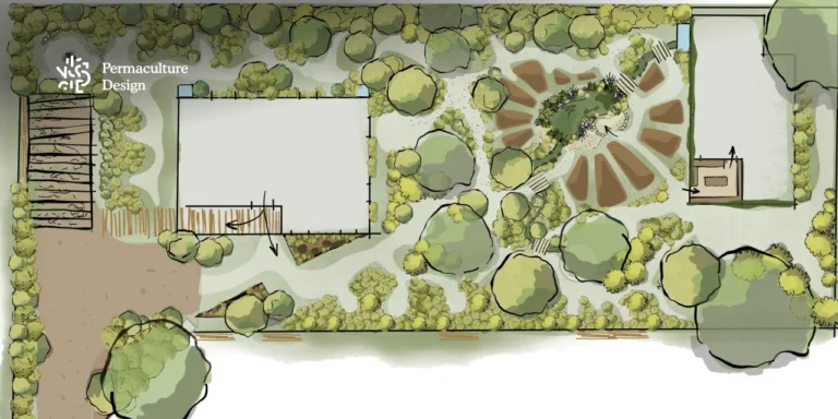 Dessin jardin en peramculture