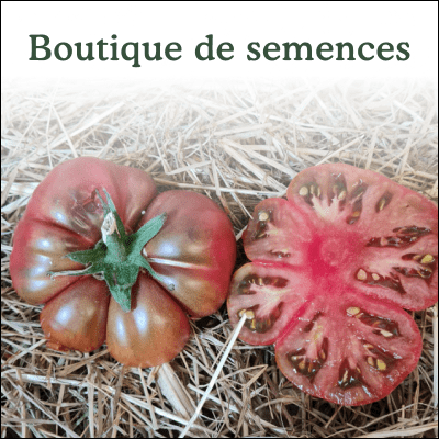 Boutique semences La bonne graine