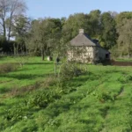 Verger diversifié en permaculture en Normandie.