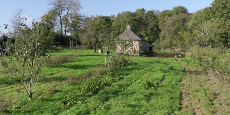 Verger diversifié en permaculture en Normandie.