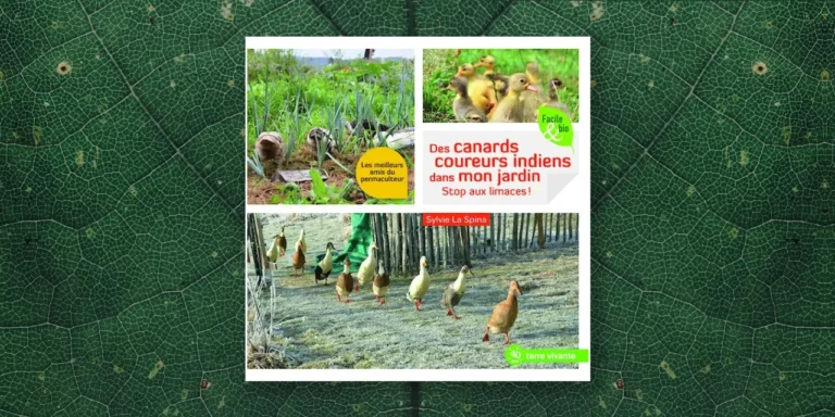 Couverture du livre Des canards coureurs indiens dans mon jardin - Stop aux limaces ! de Sylvie La Spina, Éditions Terre Vivante