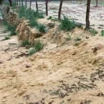 Érosion due à l'eau dans une ferme en permaculture.
