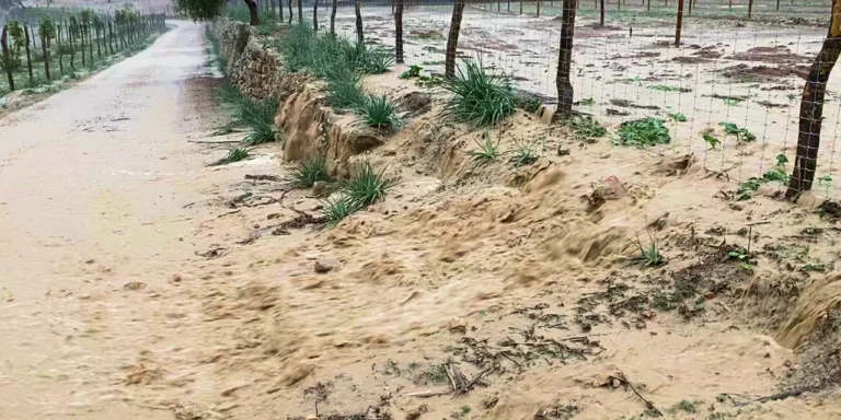 Érosion due à l'eau dans une ferme en permaculture.