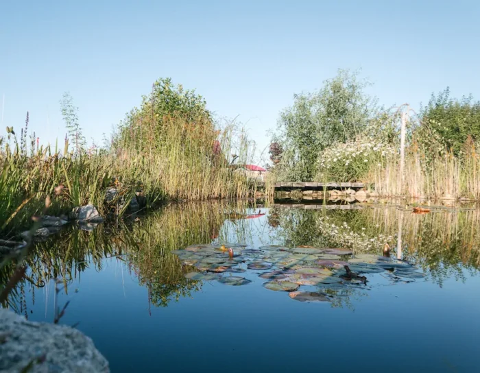 Formation permaculture mare naturelle