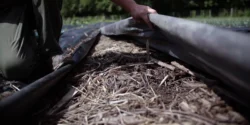 Bâches dans une ferme en maraîchage sur sol vivant.