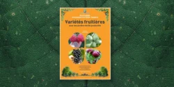 Variétés fruitières pour des jardins-forêts productifs : l’ouvrage indispensable59479Variétés fruitières pour des jardins-forêts productifs : l’ouvrage indispensable