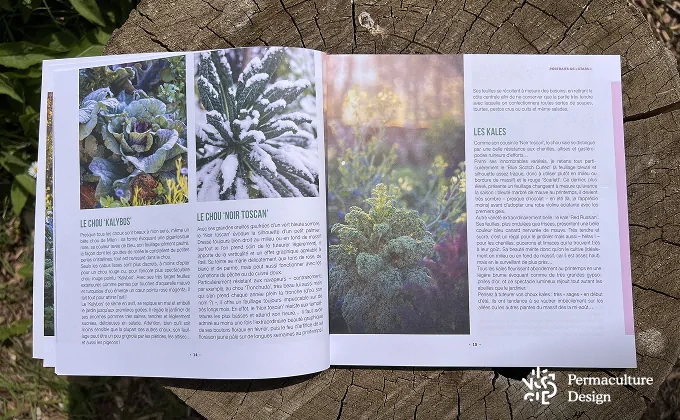 Extrait livre : L'art du Foodscaping.