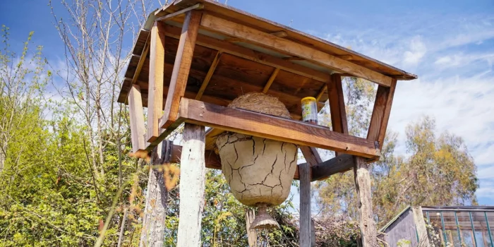 La ruche Sunhive est une ruche naturelle et écologique.