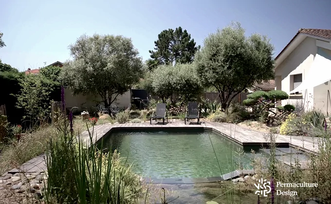 Après travaux - Piscine naturelle