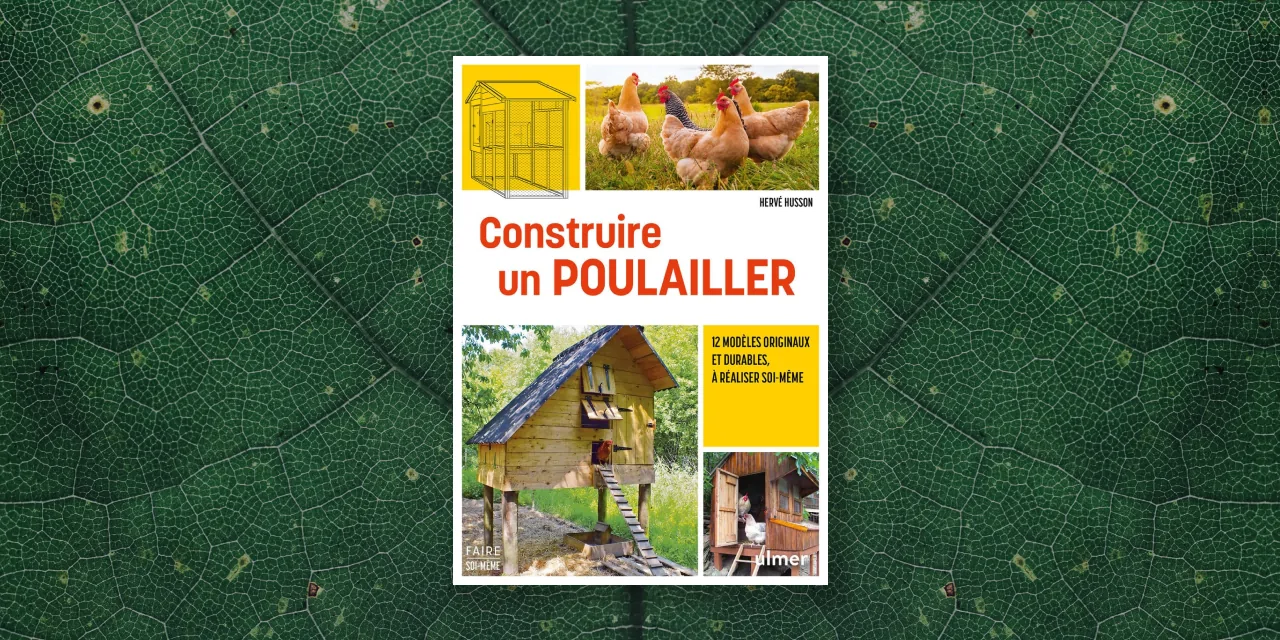 Construire un poulailler durable : 12 modèles à faire soi-même pour un jardin autonome