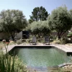 Image d'une piscine classique, transformée en piscine naturelle.