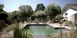 Image d'une piscine classique, transformée en piscine naturelle.