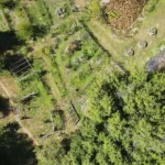 Jardin en permaculture sur sol sableux.
