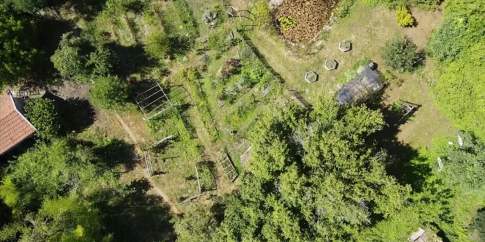 Jardin en permaculture sur sol sableux.