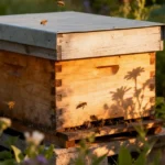 Ruche dans un jardin en permaculture.