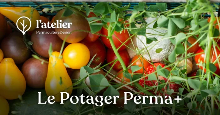 Formation permaculture Le potager Perma+
