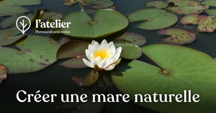Formation permaculture Créer une mare naturelle