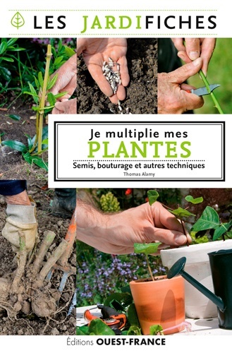 Je multiplie mes plantes
