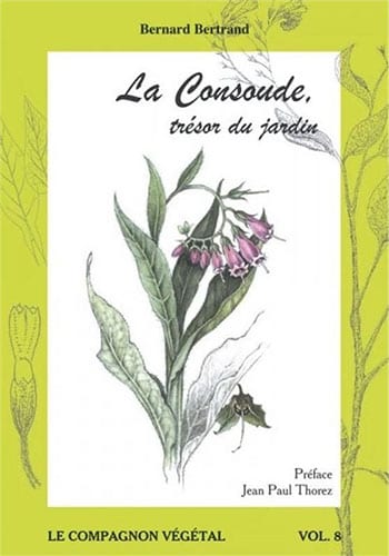 La Consoude, trésor du jardin