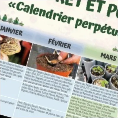 Calendrier perpétuel du jardin-forêt et potager productif