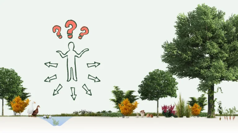 Comment choisir ses plantes pour son jardin ?