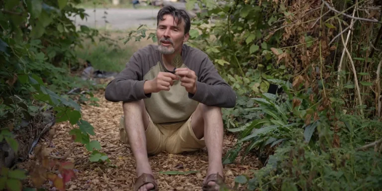Franck Nathié liste 8 plantes pour les jardin-forêt.