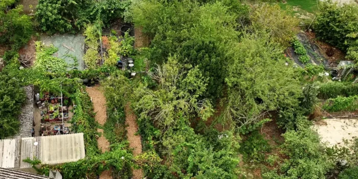 Vue drone du jardin-forêt de Franck Nathié, expert français du forêts comestibles.