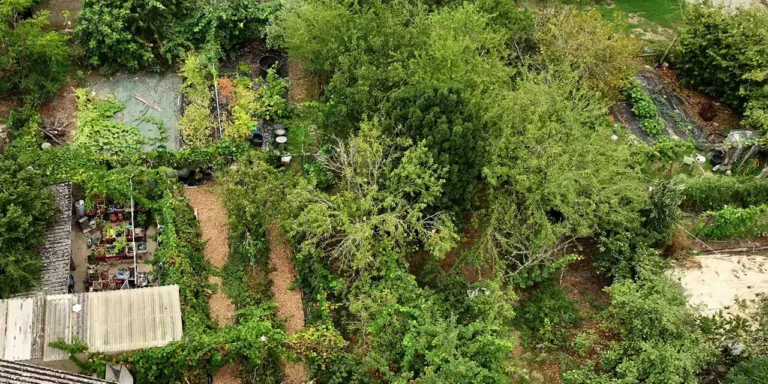 Vue drone du jardin-forêt de Franck Nathié, expert français du forêts comestibles.