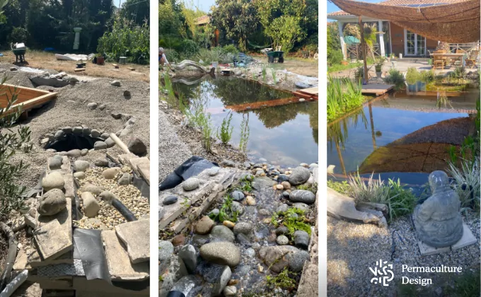 Construction d'une piscine naturelle avec cuve bois.
