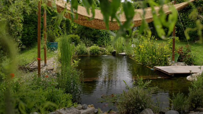 Piscine Naturelle Végétalisée