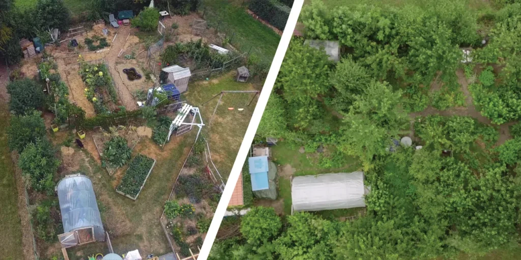 Vue aérienne du potager de Sébastien en 2020 et cinq ans plus tard, planches de culture nues devenues canopée dense