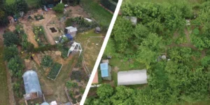 Potager en permaculture, 5 ans après : 250 kg récoltés en 2 à 3 h par semaine